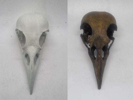 Ornamental crow skull, 3D Printed, bird horror decoration, cosplay accessory, weathered bone effect, 3d printed resin, raven like skeleton