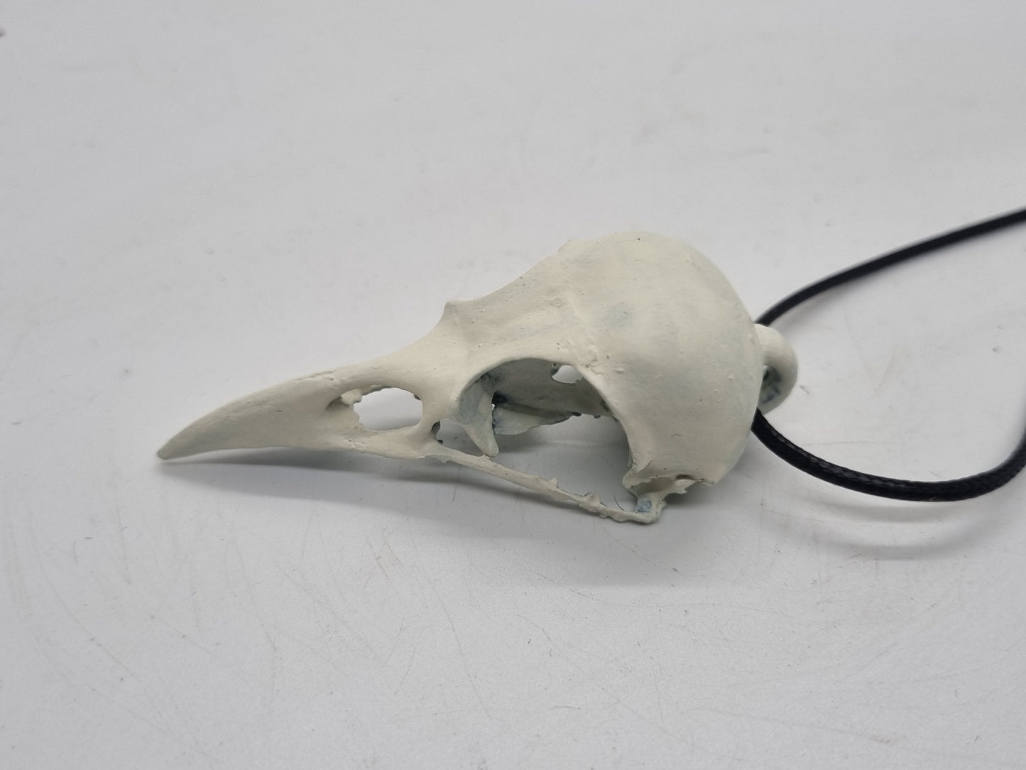 Off white Crow skull pendant, cosplay accessory, horror fancy dress, gothic jewellery, Halloween witch costume, Creepy raven bird necklace