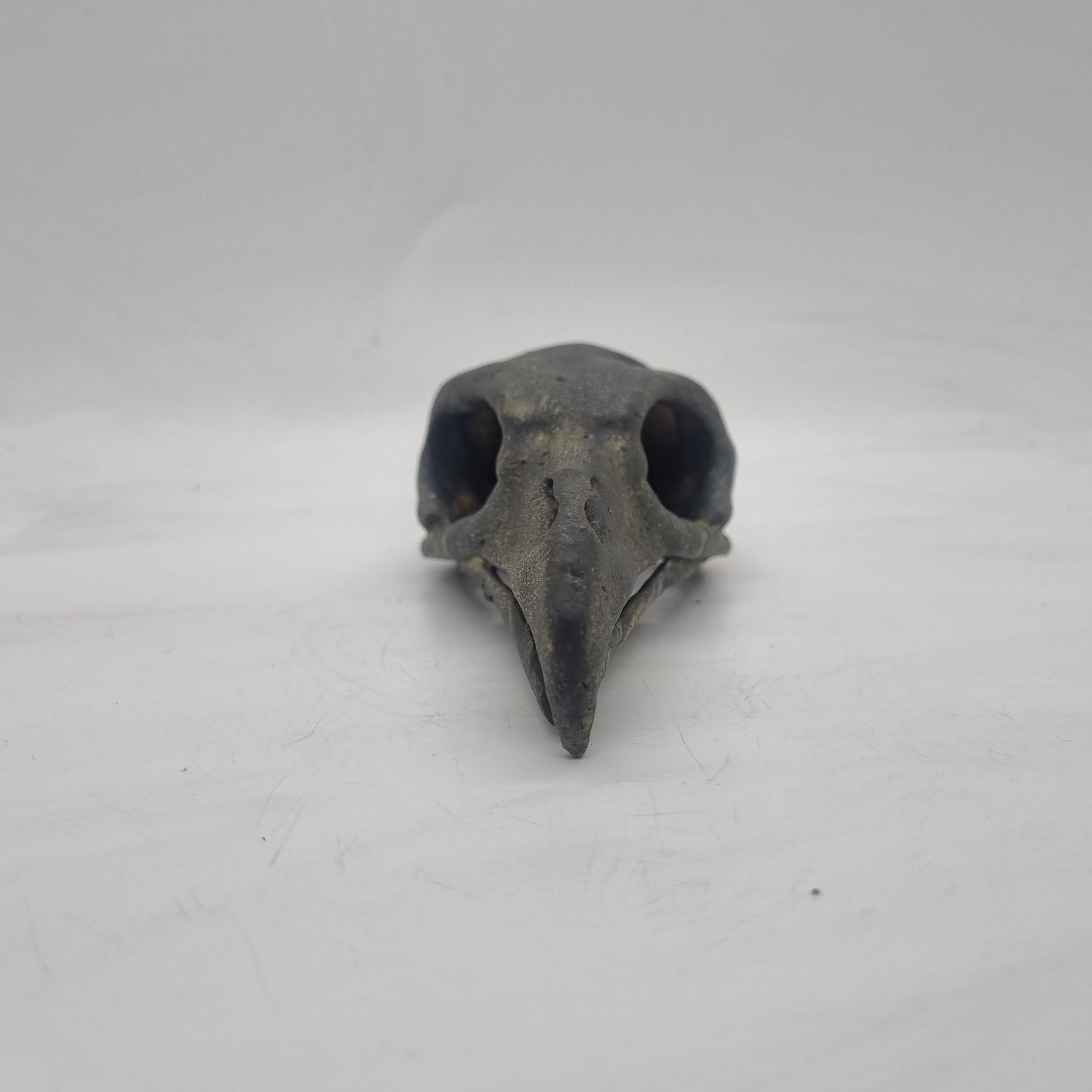 3d printed Vulture skull, weathered bone effect,  gothic horror decoration, cosplay accessory, 3d printed resin,ornamental  bird skeleton