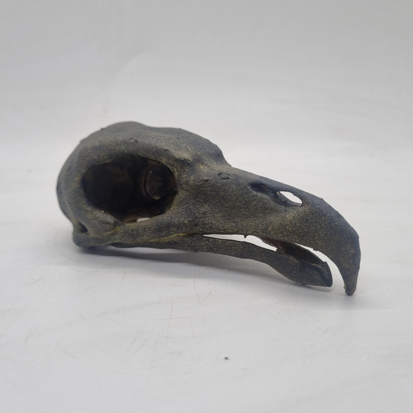 3d printed Vulture skull, weathered bone effect,  gothic horror decoration, cosplay accessory, 3d printed resin,ornamental  bird skeleton