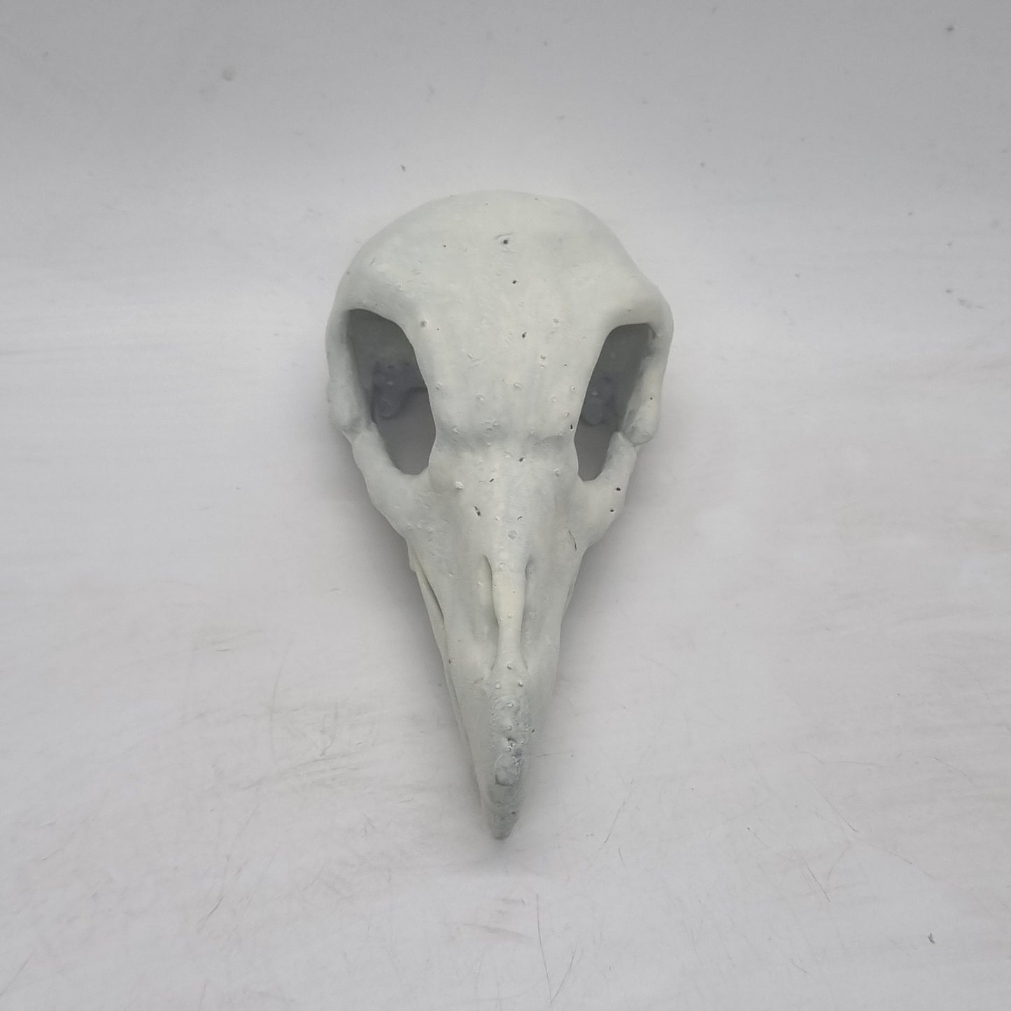 Off white Vulture skull, bird of prey horror decoration, ornamental goth cosplay accessory, bone effect, 3d printed resin wildlife skeleton