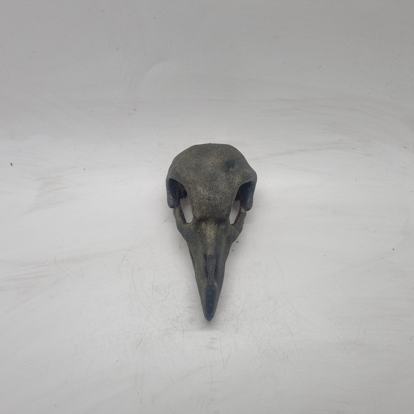 3d printed Vulture skull, weathered bone effect,  gothic horror decoration, cosplay accessory, 3d printed resin,ornamental  bird skeleton