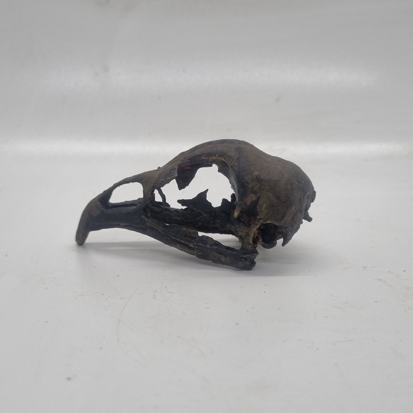 chicken skull Weathered bone effect, 3d printed resin horror decoration, gothic cosplay accessory, ornamental wildlife skeleton, ornithology