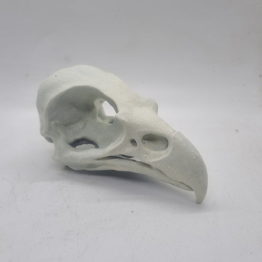 Off white Eagle skull, bird horror decoration,ornamental goth cosplay accessory, bone effect, 3d printed resin wildlife skeleton,ornathology