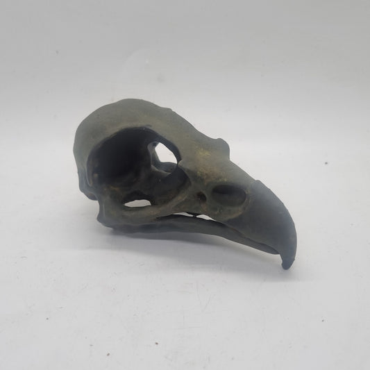 3d printed Eagle skull, weathered bone effect,gothic horror decoration,cosplay accessory,3d printed resin,ornathology bird skeleton ornament