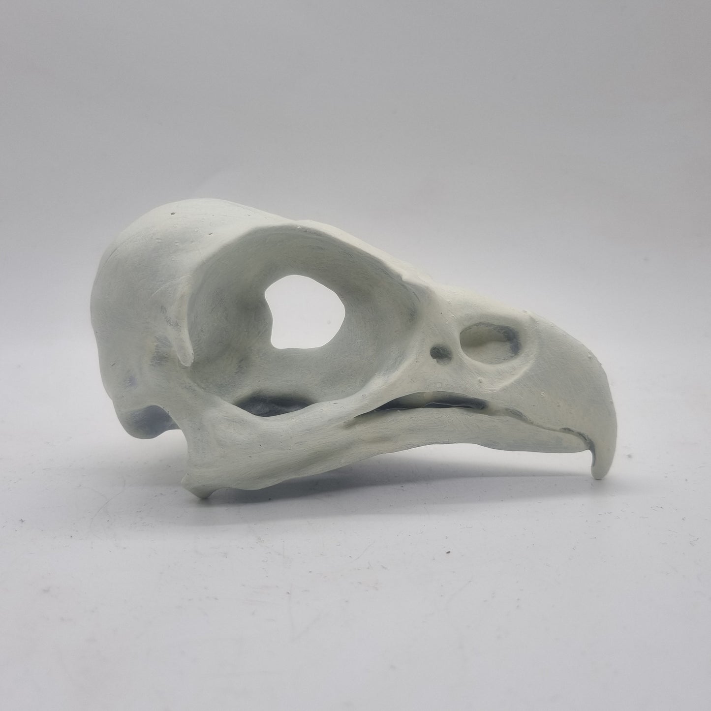 Off white Eagle skull, bird horror decoration,ornamental goth cosplay accessory, bone effect, 3d printed resin wildlife skeleton,ornathology